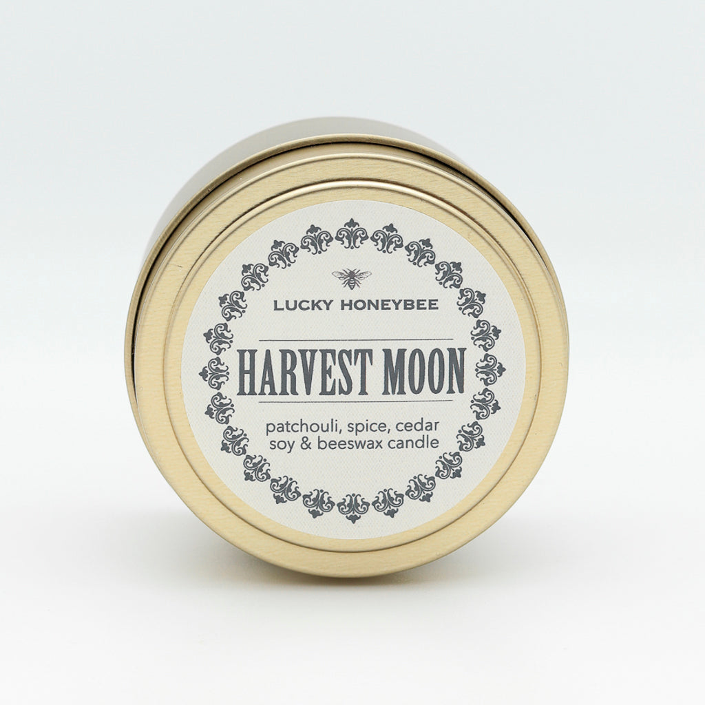 HarvestMoonT-2.jpg