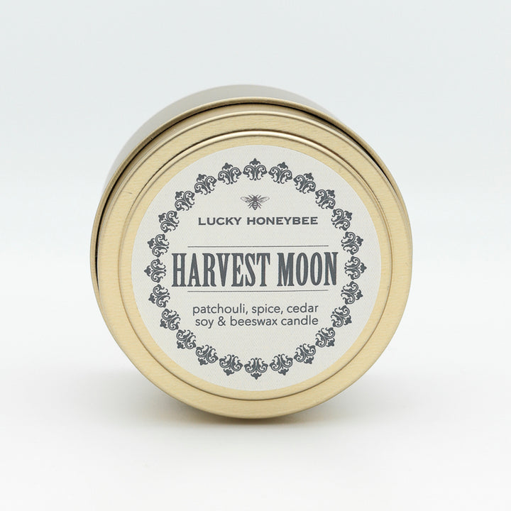 HarvestMoonT-2.jpg